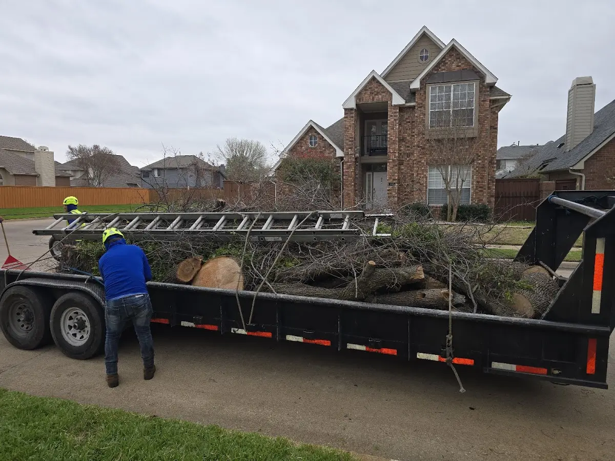 Expert Tree Fertilization with proper safety equipment in Artois